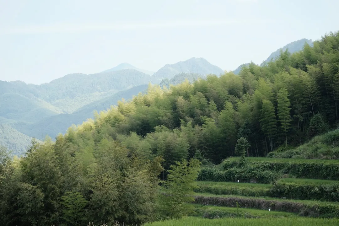 物联网技术研发新趋势:从产品概念到可量产方案的实践路径正文配图 1